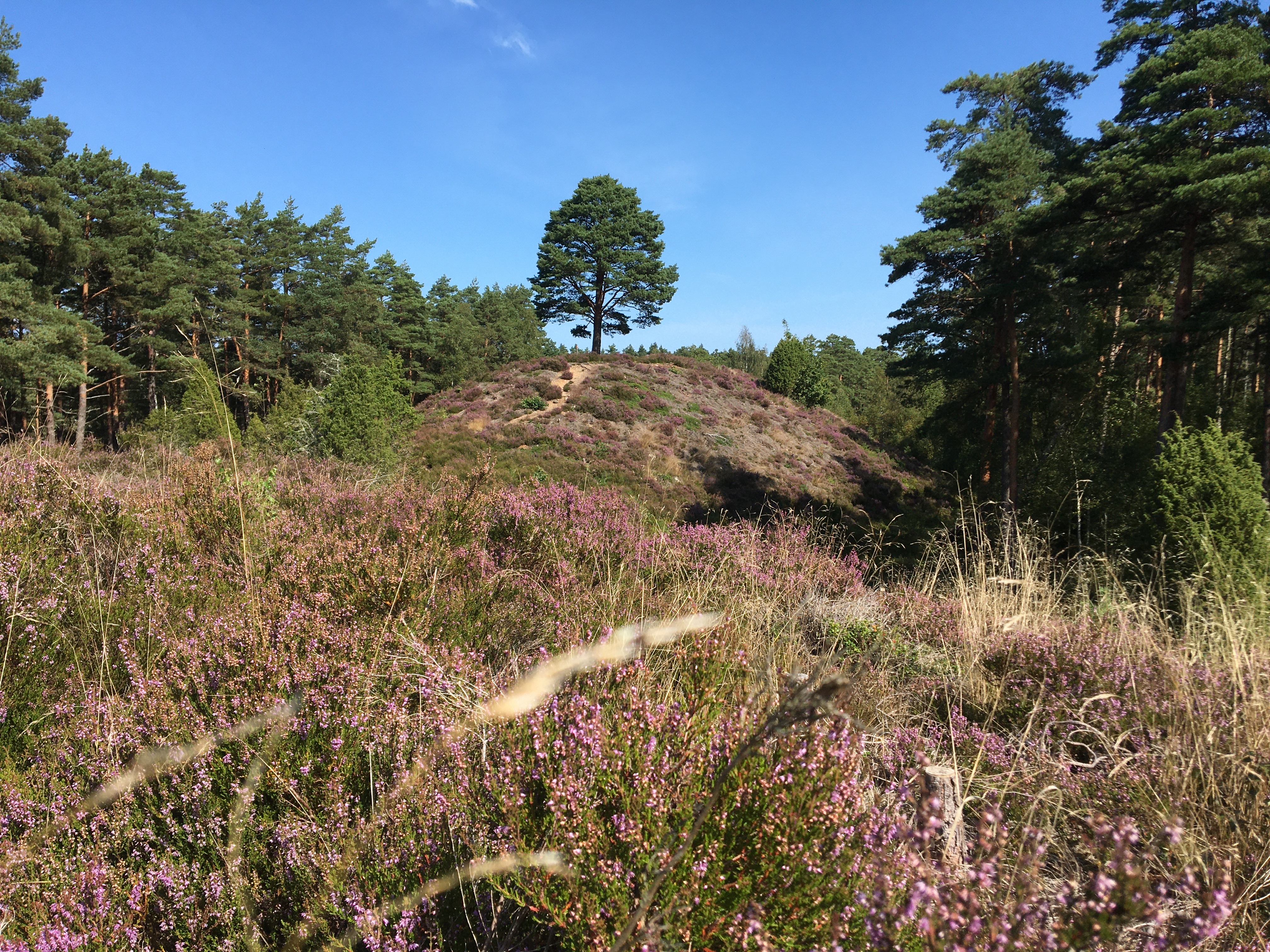 billede af Rocknenområdet
